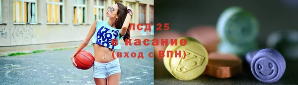 ГАЛЛЮЦИНОГЕННЫЕ ГРИБЫ Балахна
