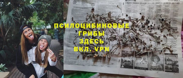 ГАЛЛЮЦИНОГЕННЫЕ ГРИБЫ Балахна