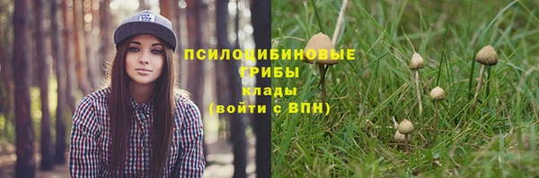 MESCALINE Баксан