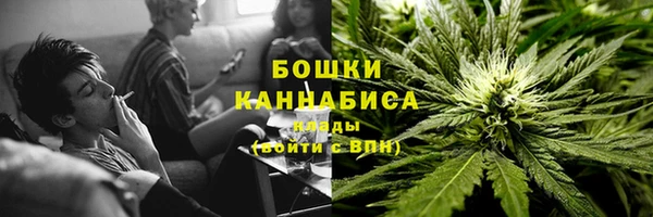 ГАЛЛЮЦИНОГЕННЫЕ ГРИБЫ Балахна