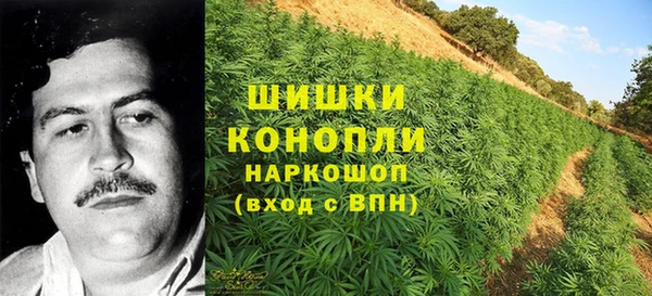 ГАЛЛЮЦИНОГЕННЫЕ ГРИБЫ Балахна