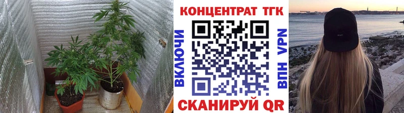 ТГК концентрат  Купить закладки  Сергач 