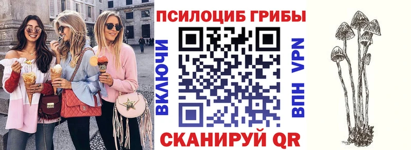 Купить закладки  Сергач  Галлюциногенные грибы Cubensis 